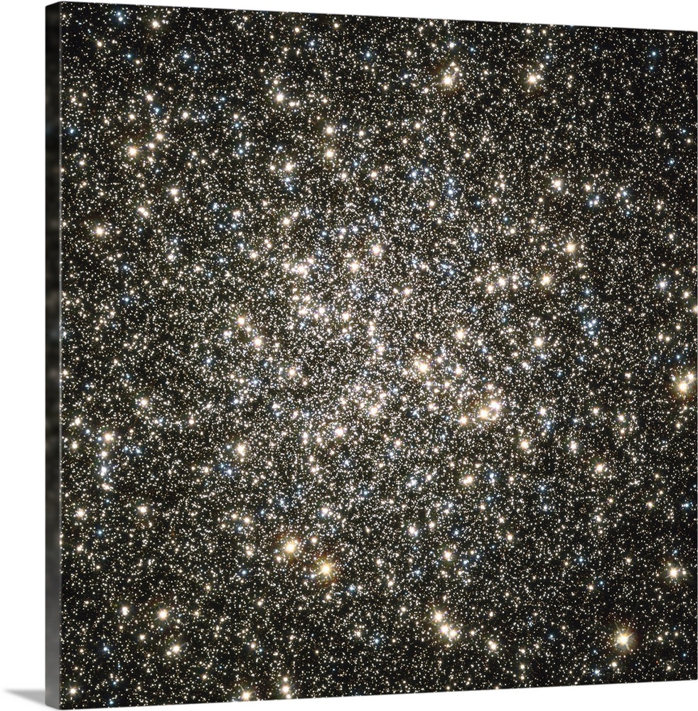 Square, oversized wall picture of packed together stars in Globular cluster M13, the blackness of space barely showing thr...