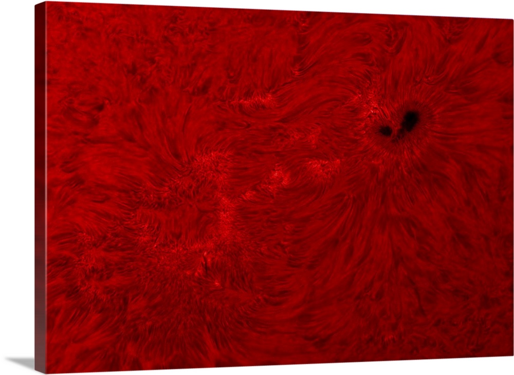 H-alpha Sun in red with sunspot.