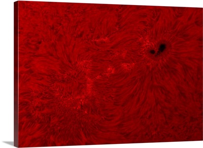 H alpha Sun in red with sunspot