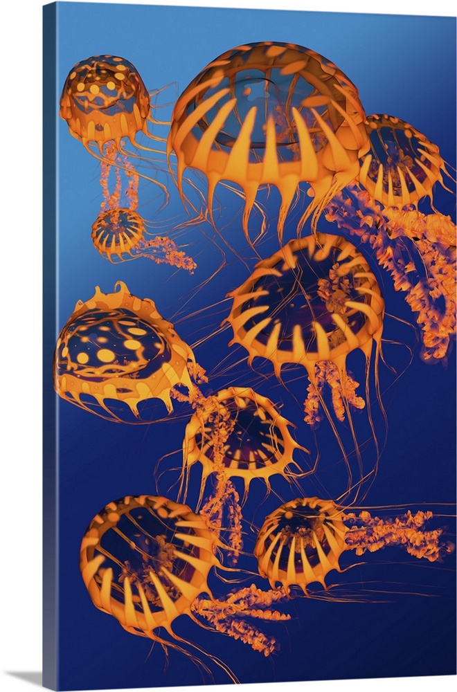 Illustration of a group of golden jellyfish.