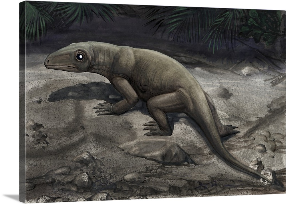Illustration of a Nikkasaurus tatarinovi.