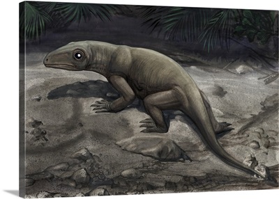 Illustration of a Nikkasaurus tatarinovi
