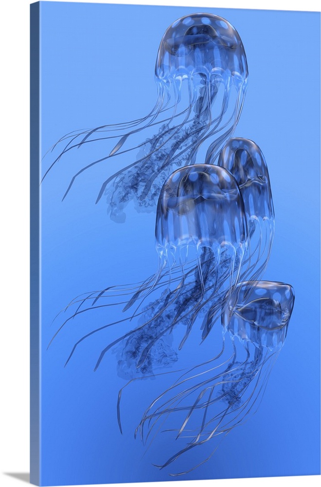 Illustration of blue-spotted jellyfish swimming together.