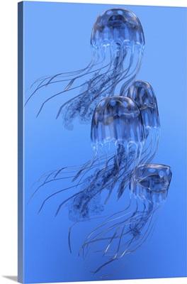 Illustration of blue-spotted jellyfish swimming together