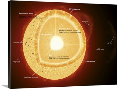 Illustration showing the various parts that make up the sun