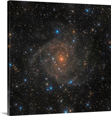 Intermediate spiral galaxy IC 342