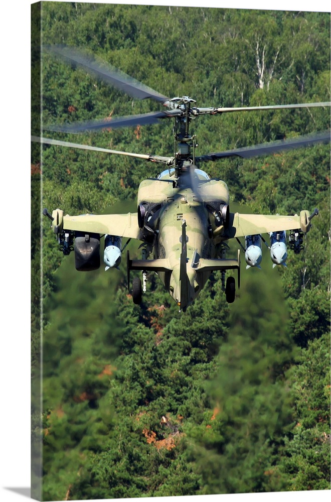 Ka-52 Alligator attack helicopter of the Russian Air Force flying over treetops.