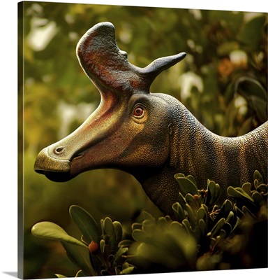 Lambeosaurus Portrait
