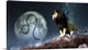 image thumbnail of Leo is the fifth astrological sign of the Zodiac. Its symbol is the lion.