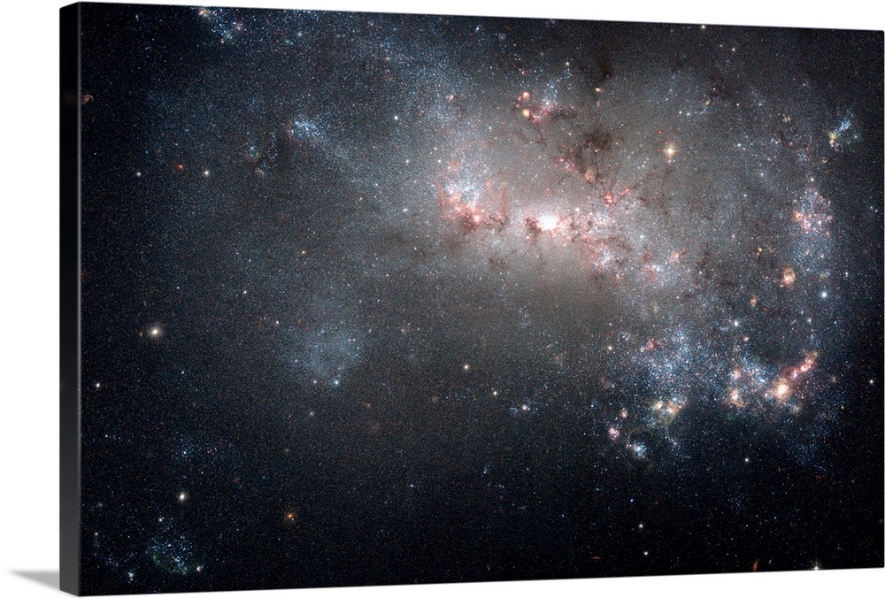 Magellanic dwarf irregular galaxy NGC 4449 in the constellation Canes Venatici