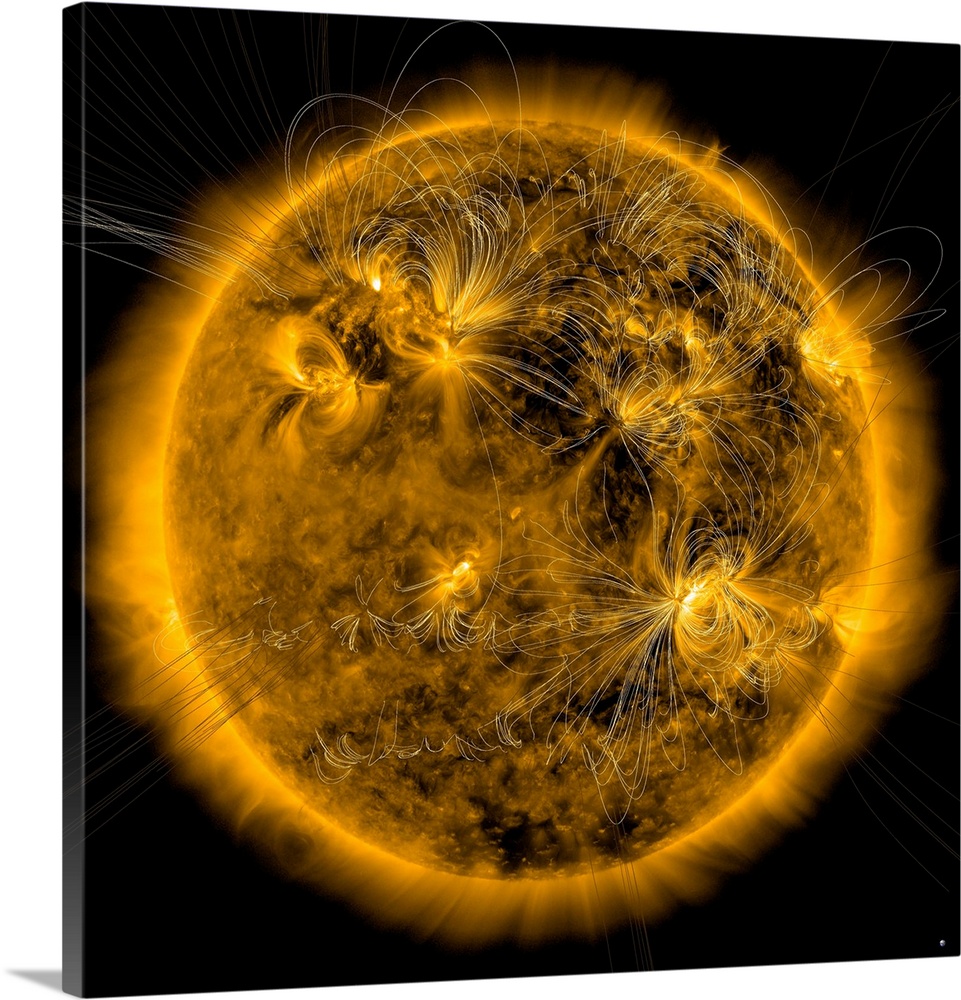 February 17, 2011 - Magnetic field lines on the Sun.