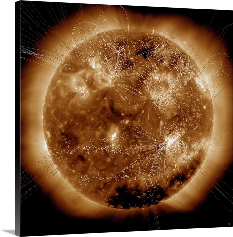 February 16, 2011 - Magnetic field lines on the Sun. Earth is visible in the bottom right corner to scale.