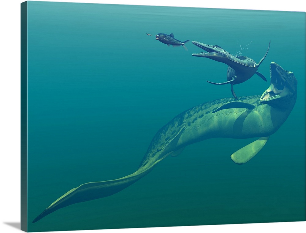 Artist's concept of primary marine predators that shared the ocean waters of the Western Interior Seaway of North America ...