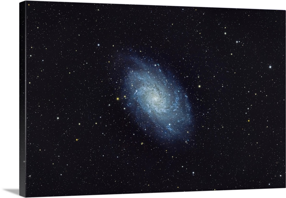 Messier 33 Galaxy In Triangulum