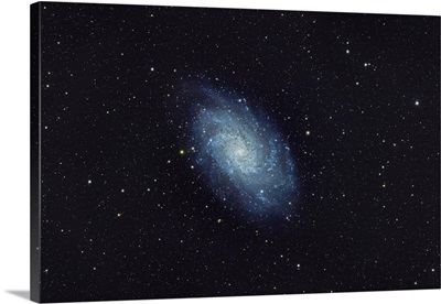 Messier 33 Galaxy In Triangulum