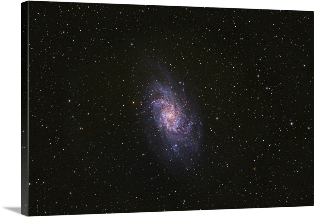 Messier 33, the Triangulum Galaxy.