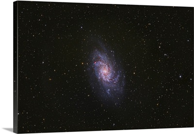 Messier 33, The Triangulum Galaxy