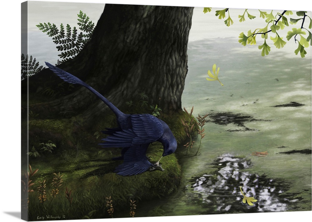 Microraptor gui, a small four-winged dromaeosaur, eating a small fish. ..was recently found in Xing et al 2013 to have pre...