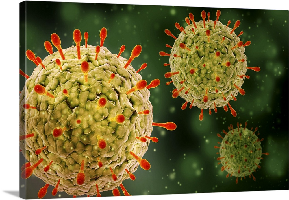 Microscopic view of herpes virus.