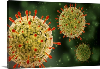 Microscopic view of herpes virus