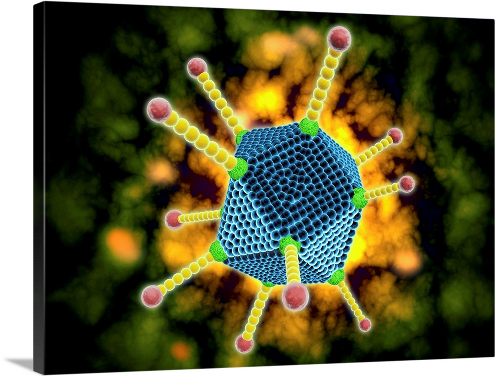 Conceptual image of the common cold virus. The common cold virus is an infectious disease typically transmitted via airbor...