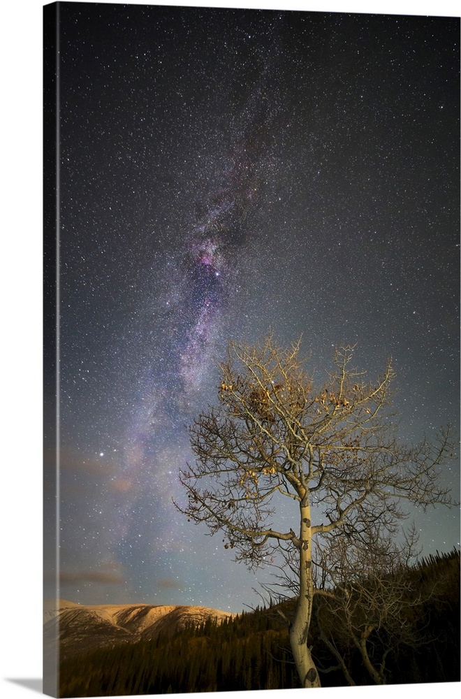 Milky Way, Alaska Highway, Yukon, Canada.