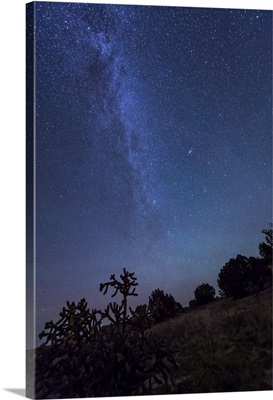 Milky Way rises over a hill of brush and cacti, Kenton, Okalhoma