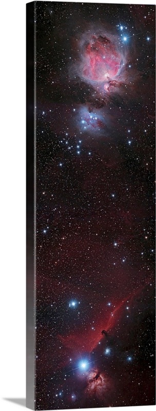 Mosaic of Orion Nebula and Horsehead Nebula | Great Big Canvas