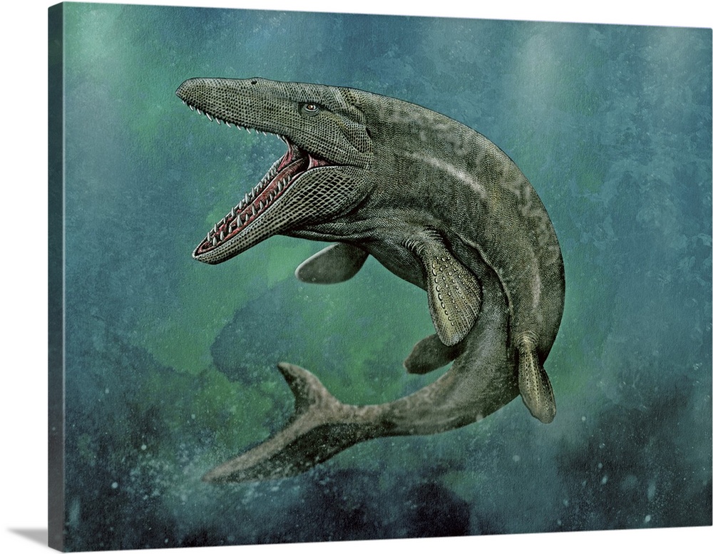 Mosasaurus swimming.