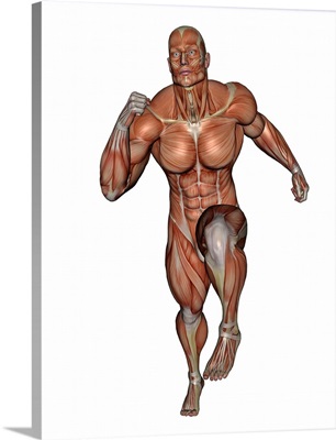 Muscular man running