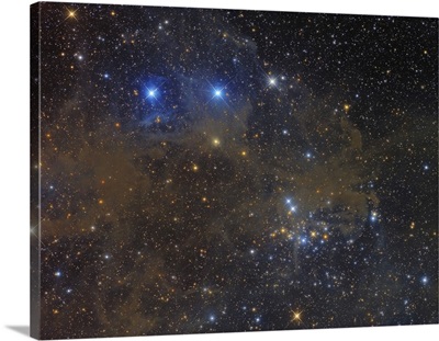 NGC 1342 open cluster in Perseus