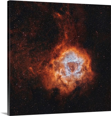 NGC 2237, the Rosette Nebula, with open cluster NGC 2244