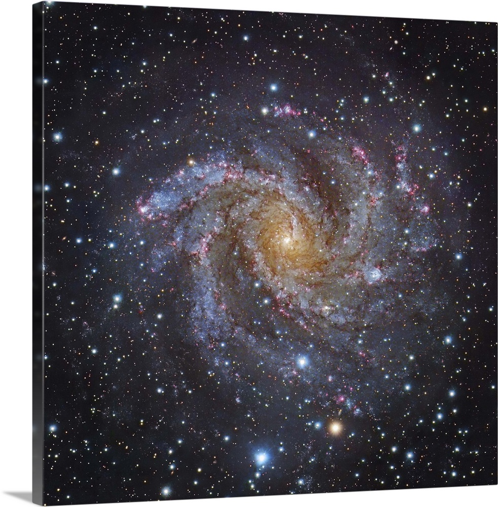 NGC 6946, a spiral galaxy in Cepheus.