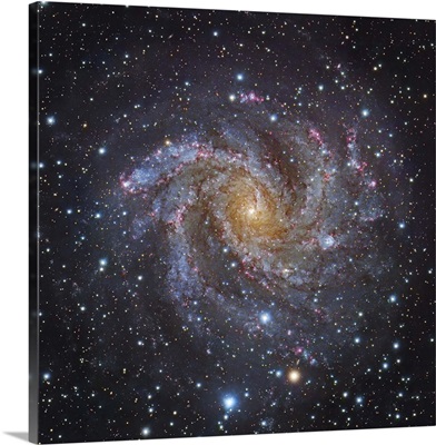 NGC 6946, a spiral galaxy in Cepheus