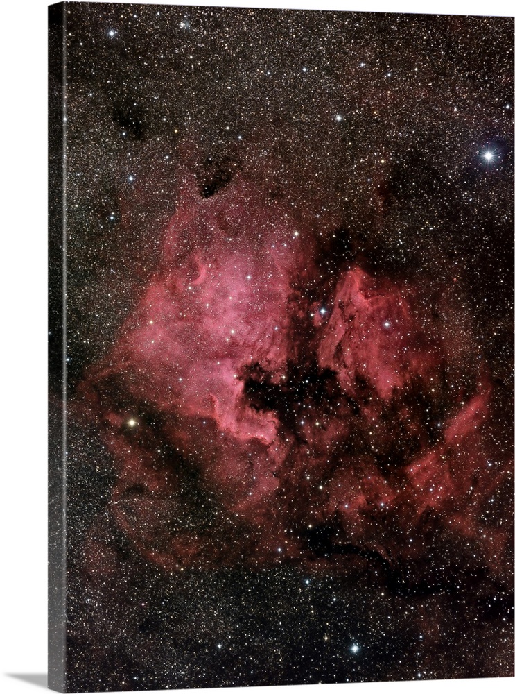 NGC 7000, The North America Nebula And Pelican Nebula