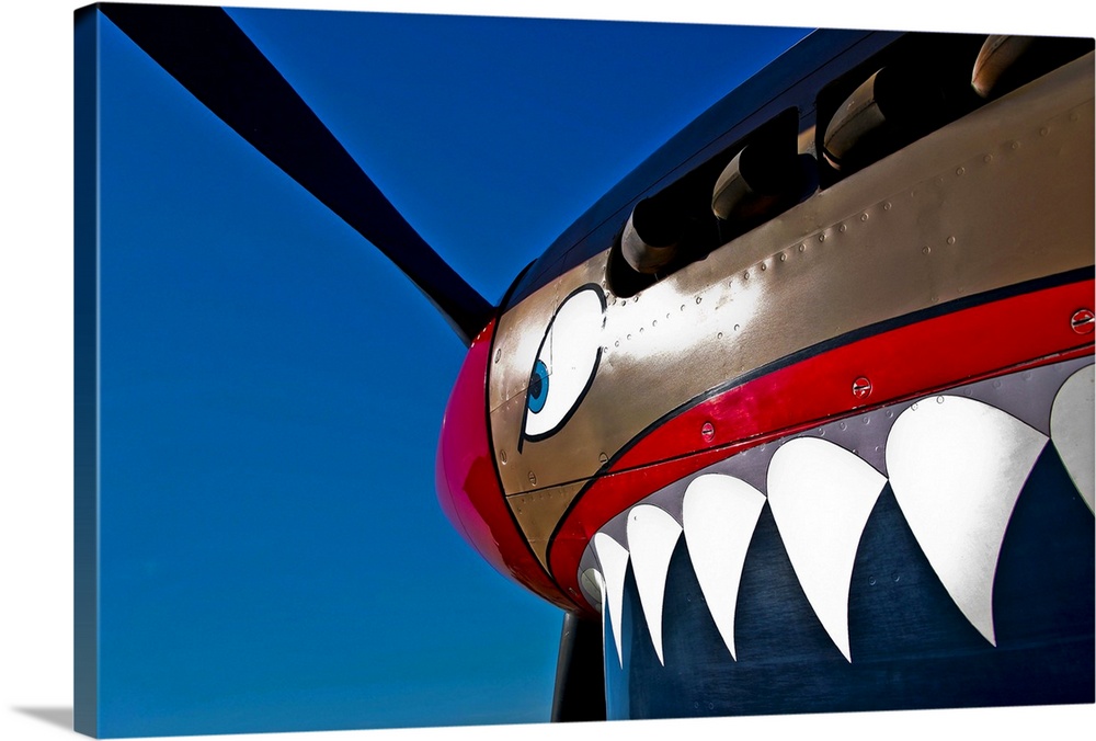 Close-up view of the nose art on a Curtiss P-40E Warhawk on display at the Warhawk Air Museum, Nampa, Idaho.