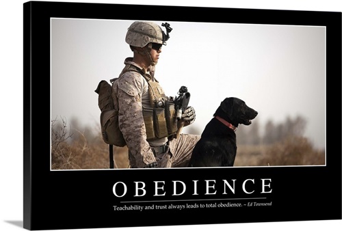 Obedience: Inspirational Quote and Motivational Poster | Great Big Canvas