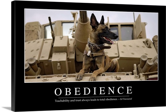 Obedience: Inspirational Quote and Motivational Poster Wall Art, Canvas ...