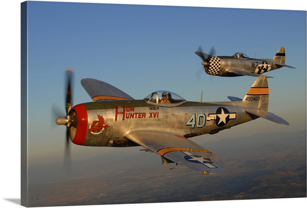 Republic P-47 Thunderbolts flying over Chino, California.