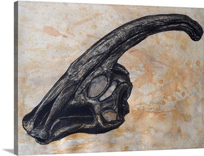 Parasaurolophus walkerii dinosaur skull