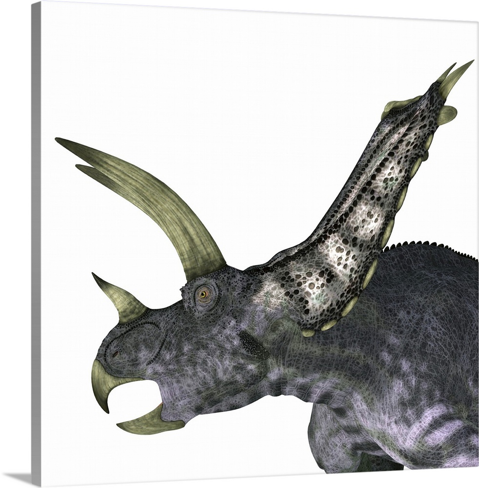 Pentaceratops dinosaur head.