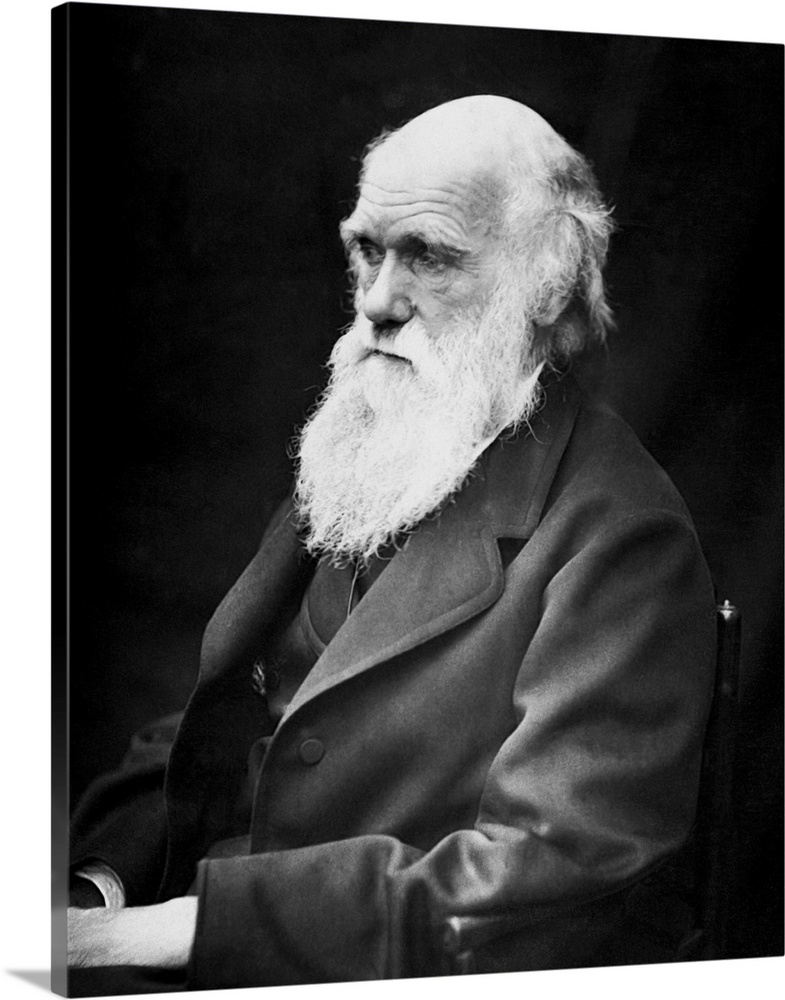 Portrait of naturalist and geologist Charles Darwin.