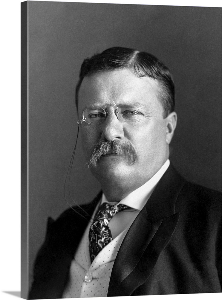 Portrait of President Theodore Roosevelt in 1904.