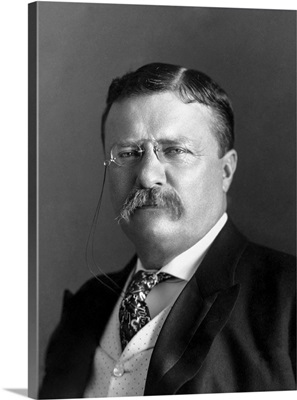 Portrait of President Theodore Roosevelt in 1904