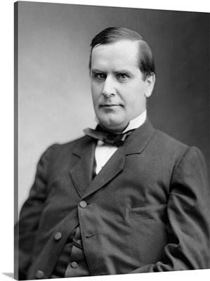 Portrait Of William Mckinley During His Term As U.S. Congressman For Ohio
