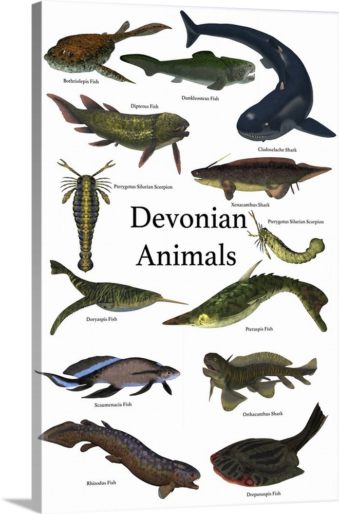 Poster of prehistoric animals during the Devonian period.