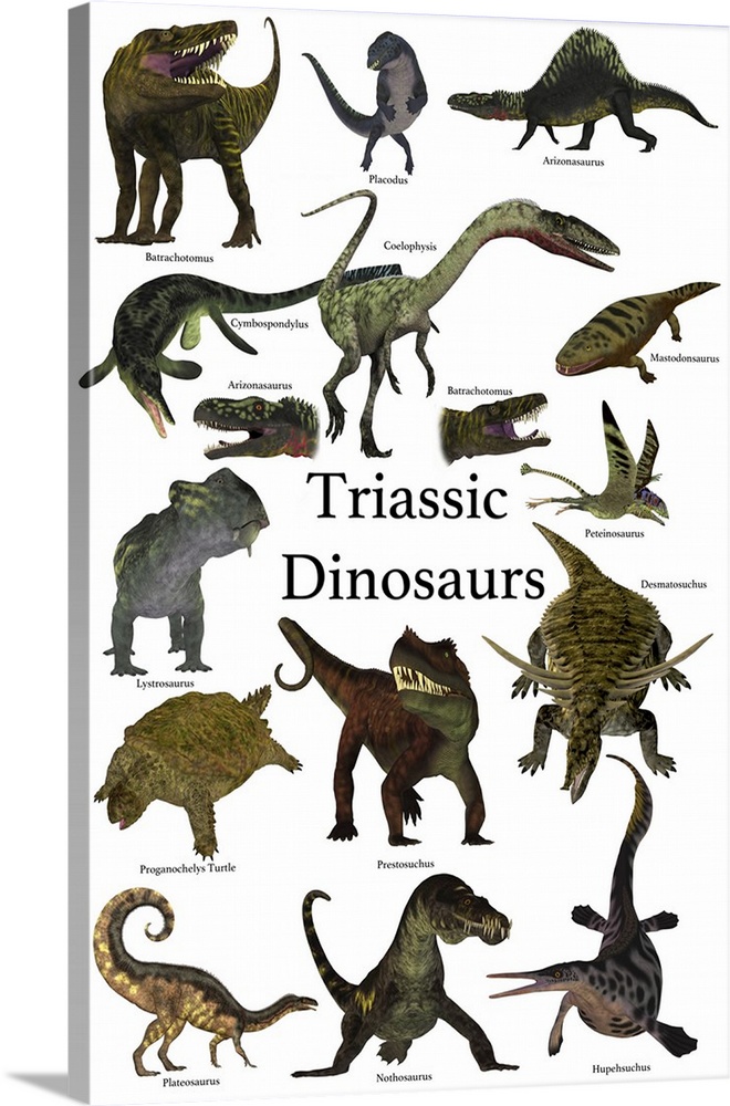 Poster of prehistoric dinosaurs and reptiles during the Triassic period.