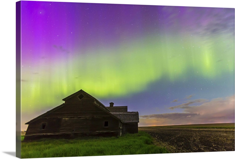 June 7-8, 2014 - An all-sky aurora with green and purple curtains in southern Alberta, Canada. Cassiopeia is visible at up...