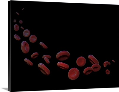 Red blood cells in a free floating curved path