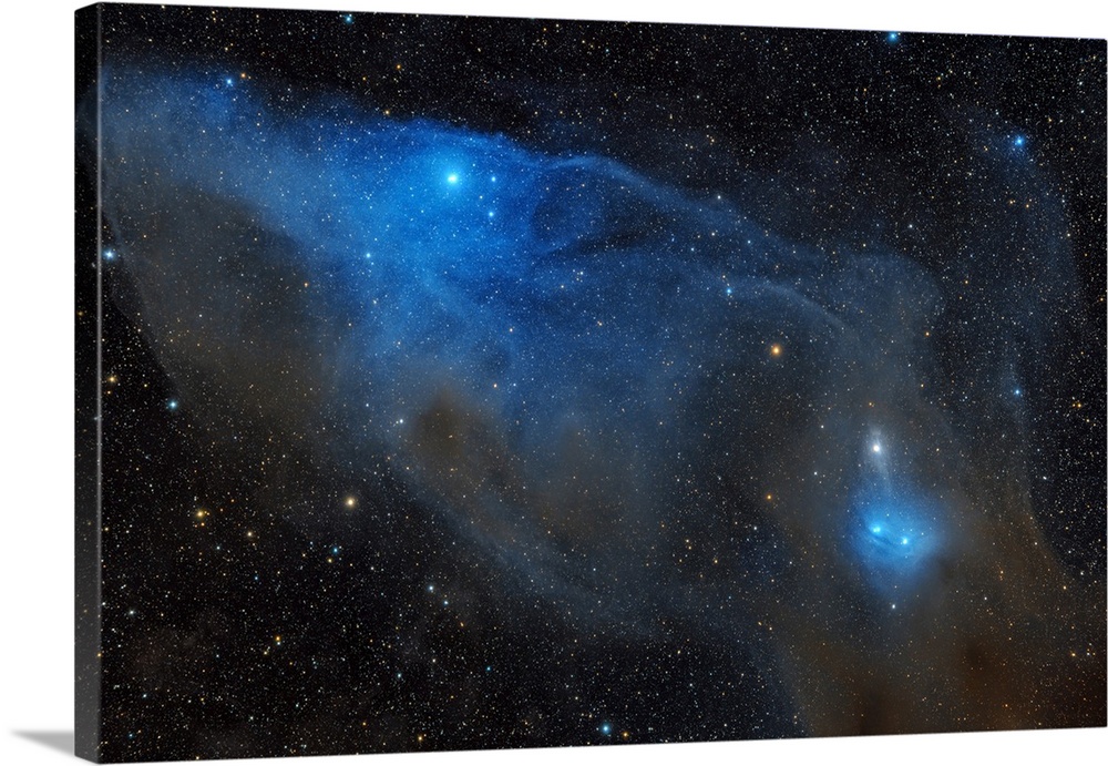 Reflection nebula IC 4601 in the constellation Scorpius.